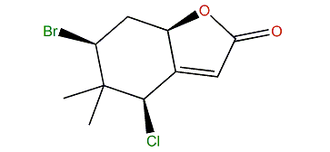 Chondrocole B